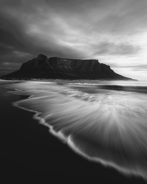 The Future of Wildlife and Landscape Content Creation in the Age of AI