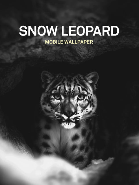 Transform Your Screen: The Art Behind the Snow Leopard Mobile Wallpaper Pack