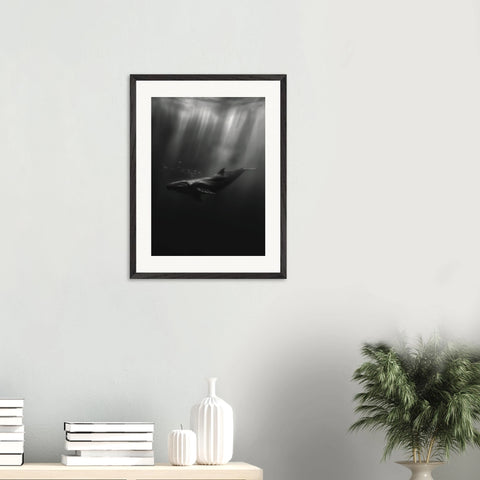 0ef1c829-de53-4807-832a-55531dde4ed5