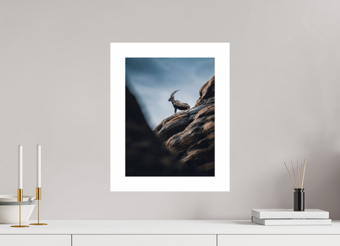 30 x 40 cm, Fine Art Print — Unframed Ibex Sentinel – Nubian Ibex Wildlife Fine Art Print