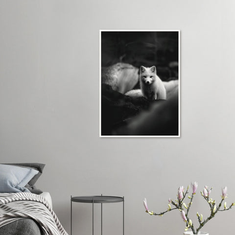 2dc3637b-208e-4437-8b9d-fe8c265ba00b