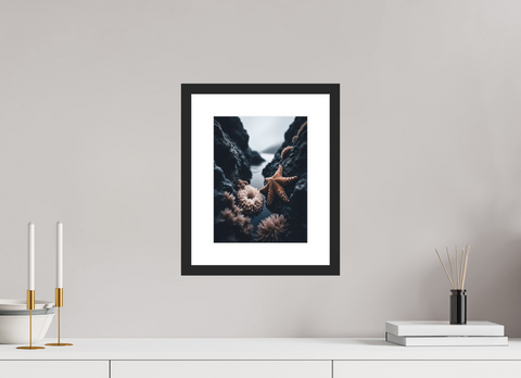 21 x 28 cm, Fine Art Print — Framed Intertidal Jewel – Macro Tidepool Fine Art Print