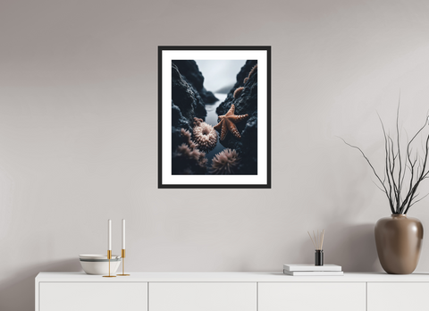 45 x 60 cm, Fine Art Print — Framed Intertidal Jewel – Macro Tidepool Fine Art Print