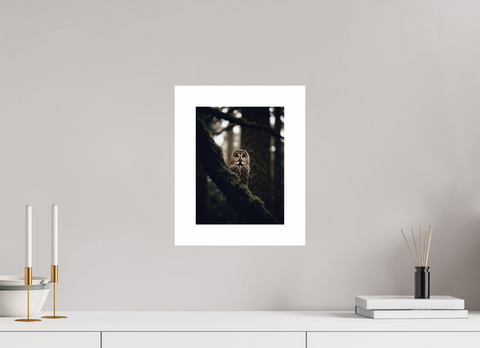 21 x 28 cm, Fine Art Print — Unframed Silent Watcher – Great Grey Owl Wildlife Fine Art Print