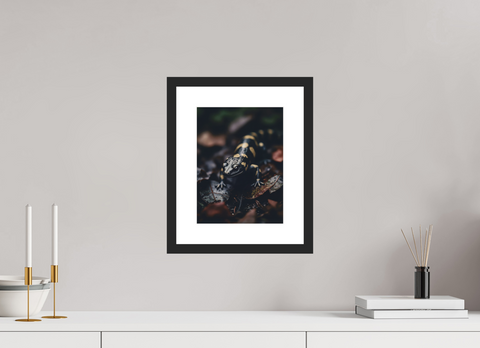 21 x 28 cm, Fine Art Print — Framed "Gilded Shadow" – Fire Salamander Wildlife Fine Art Print