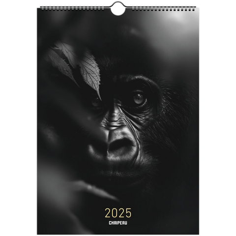 544a36e6-d405-42bc-a386-0a6eb2d3cb59