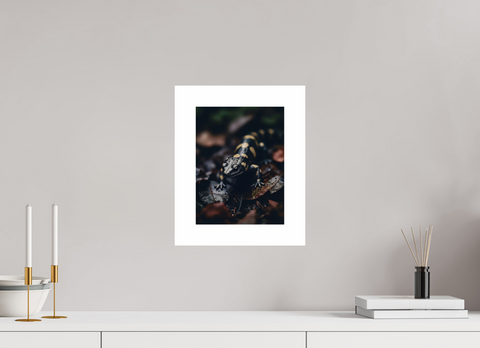 21 x 28 cm, Fine Art Print — Unframed "Gilded Shadow" – Fire Salamander Wildlife Fine Art Print