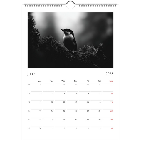 6317545a-914b-4d1c-9111-a7ab9e6a6a28