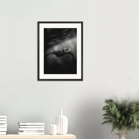 674bbcb2-9432-4d30-9fa3-f640cdbe2a00