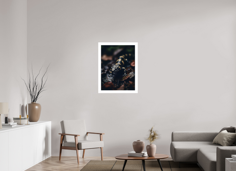 60 x 80 cm, Fine Art Print — Unframed "Gilded Shadow" – Fire Salamander Wildlife Fine Art Print