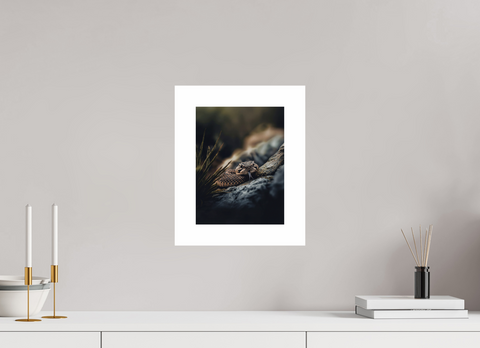 21 x 28 cm, Fine Art Print — Unframed "Silent Warning" – Prairie Rattlesnake Wildlife Fine Art Print