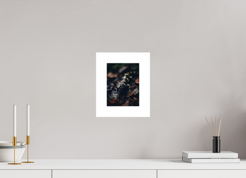 15 x 20 cm, Fine Art Print — Unframed "Gilded Shadow" – Fire Salamander Wildlife Fine Art Print