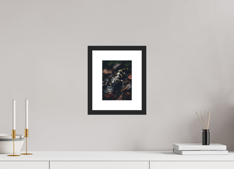 15 x 20 cm, Fine Art Print — Framed "Gilded Shadow" – Fire Salamander Wildlife Fine Art Print