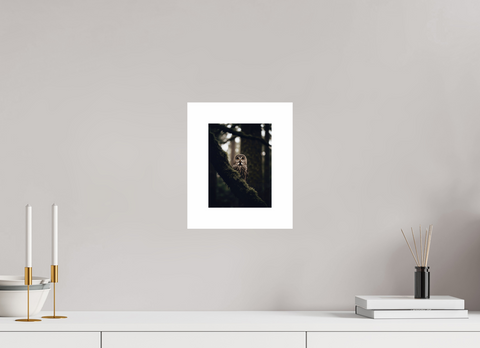 15 x 20 cm, Fine Art Print — Unframed Silent Watcher – Great Grey Owl Wildlife Fine Art Print