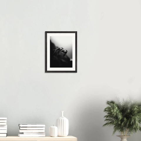 9292495a-50d5-4392-88d9-3aed112c0eef