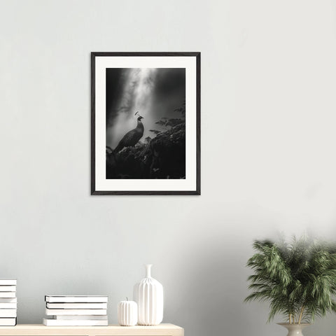 98337cef-c2a3-4aed-bdaa-cb361e0cab18