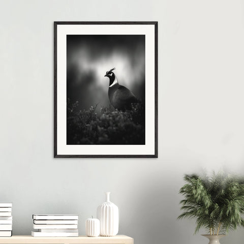 9ccfaf7a-7901-4cba-94dd-c11ce872412a