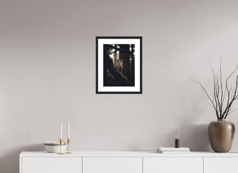 30 x 40 cm, Fine Art Print — Framed Silent Watcher – Great Grey Owl Wildlife Fine Art Print