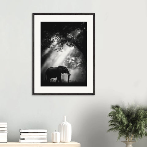 a1be19a5-30e3-4887-867f-58b249b4fb89