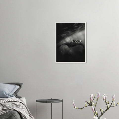 a51b6e6b-699e-44c4-abaf-a6bb91622f0b