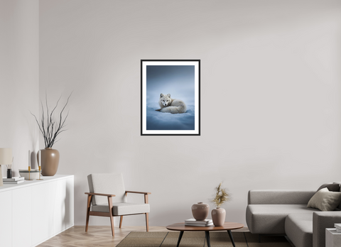60 x 80 cm, Fine Art Print — Framed "Winter Respite" – Resting Arctic Fox Fine Art Print