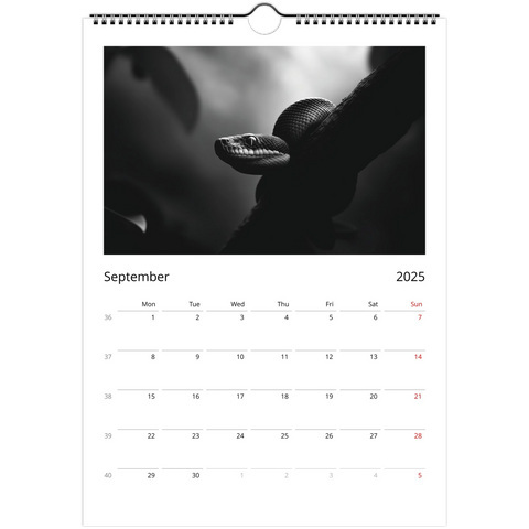 b290e003-6584-4eb7-bc5d-a90142abb361