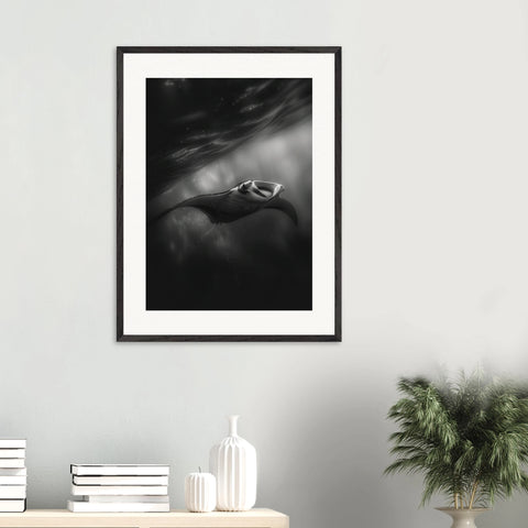 b4672701-461b-473d-97f2-22f79f6d2d6f