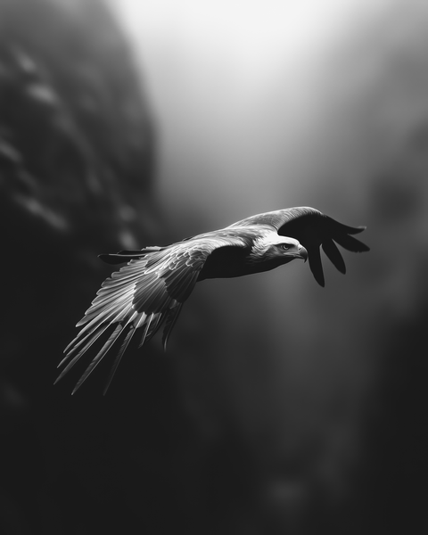 Golden Eagle | Framed Poster | Premium Wooden Frame | Black & White - chaipeau