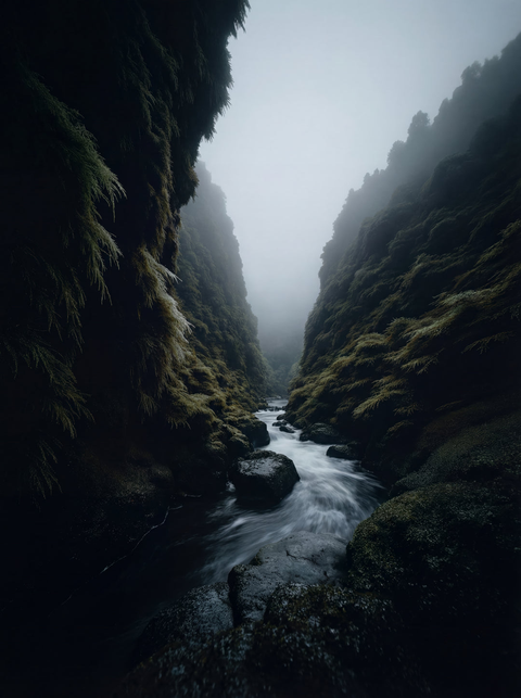 Emerald Vein – Levada Ravine Fine Art Print - chaipeau