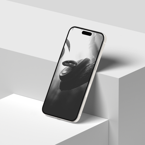 Snakes of India | Mobile Wallpapers | Digital Download | Black & White - chaipeau