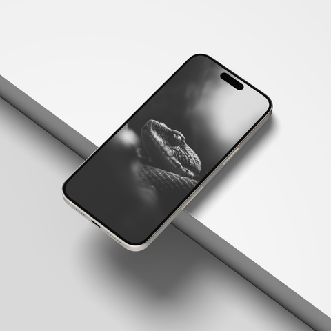 Snakes of India | Mobile Wallpapers | Digital Download | Black & White - chaipeau