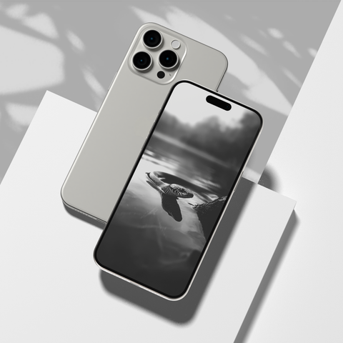 Snakes of India | Mobile Wallpapers | Digital Download | Black & White - chaipeau