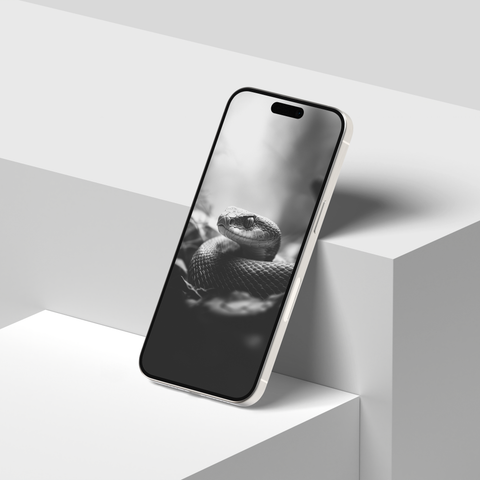 Snakes of India | Mobile Wallpapers | Digital Download | Black & White - chaipeau