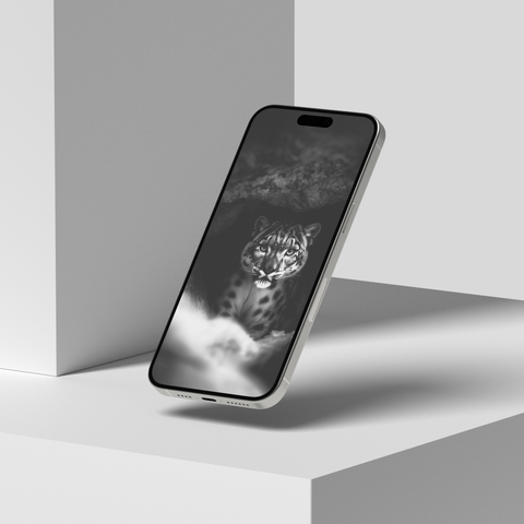 Snow Leopard | Mobile Wallpaper Pack | 20 Generative Artworks | Black & White - chaipeau