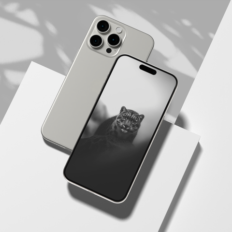 Snow Leopard | Mobile Wallpaper Pack | 20 Generative Artworks | Black & White - chaipeau