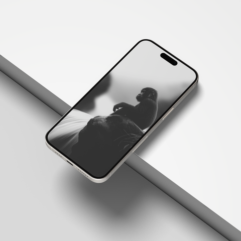 Western Gorilla | Mobile Wallpapers | Cameroon Forest Series | Digital Download - chaipeau