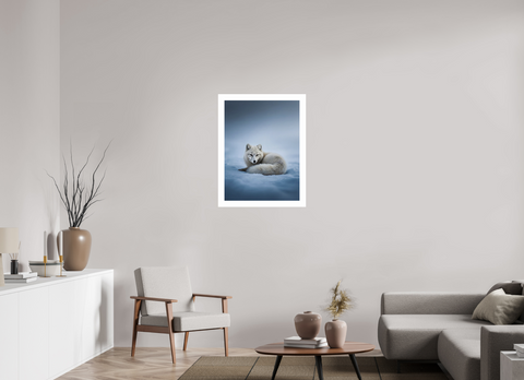 60 x 80 cm, Fine Art Print — Unframed "Winter Respite" – Resting Arctic Fox Fine Art Print