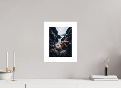 21 x 28 cm, Fine Art Print — Unframed Intertidal Jewel – Macro Tidepool Fine Art Print