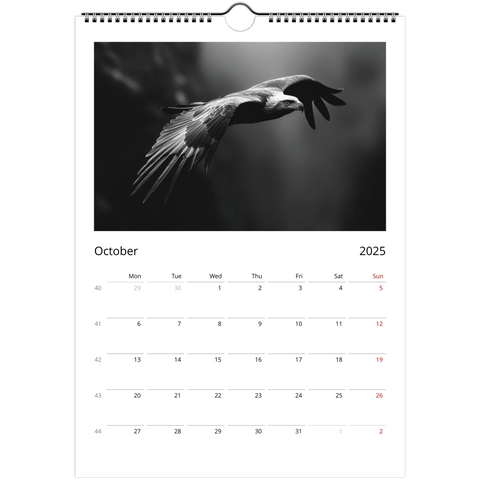 e792a4a4-971a-4309-8ab5-5a7eaac37835