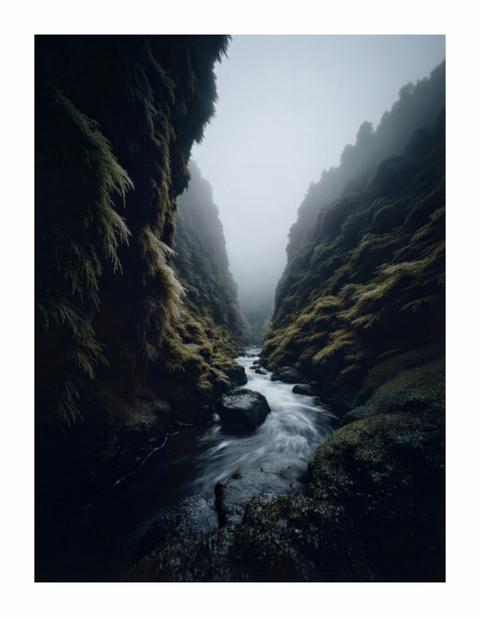Main image "Emerald Vein" – Levada Ravine Fine Art Print