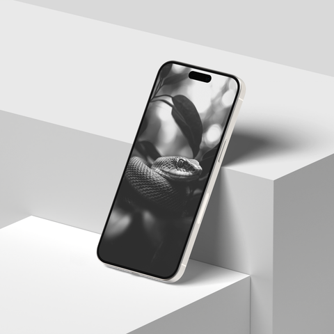 Snakes of India | Mobile Wallpapers | Digital Download | Black & White - chaipeau