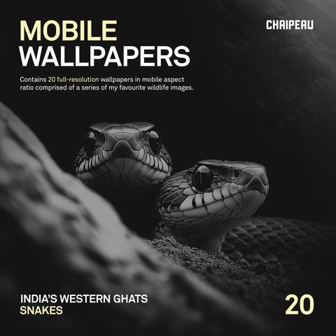 Snakes of India | Mobile Wallpapers | Digital Download | Black & White - chaipeau