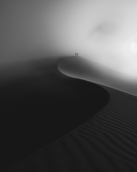 Dune 45, Namib Desert, Namibia | Generative Monochrome Fine Art Print - chaipeau