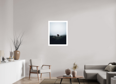 60 x 80 cm, Fine Art Print — Unframed "Highland Sentinel" – Madeiran Cattle Fine Art Print
